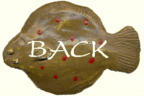 Textverzeichnis