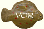 English